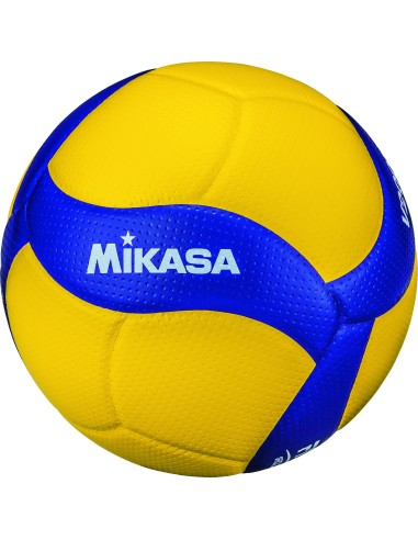 V200W-DVV Volleyball