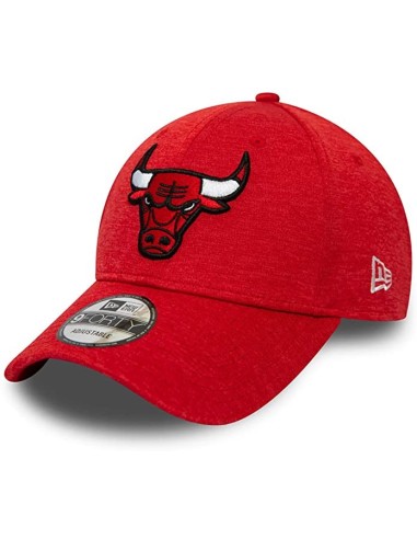 Shadow Tech 9Forty Chicago Bulls Kappe